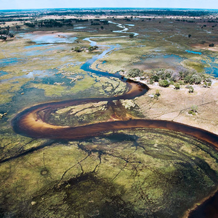 Aerial view of a winding river flowing through a green and brown wetland landscape with scattered water pools.